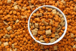 Alimentos para animais