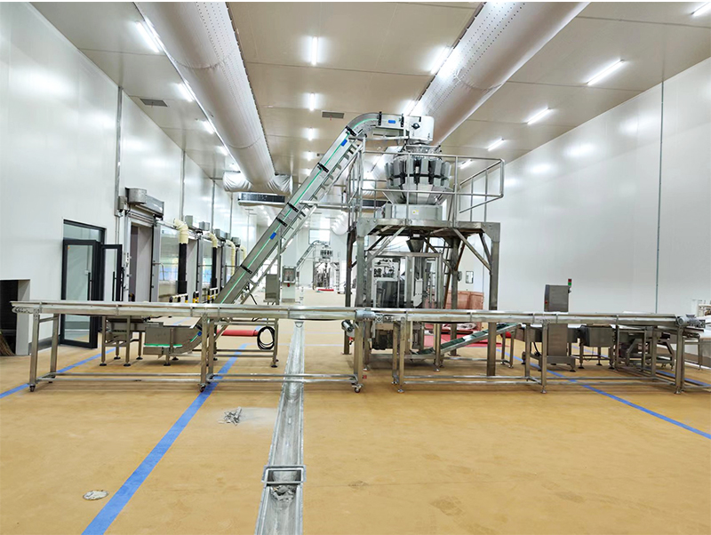 máquina de envasado automática de alimentos forzens