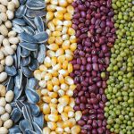 Máquina de envasado de recheo de pesaxe semiautomática